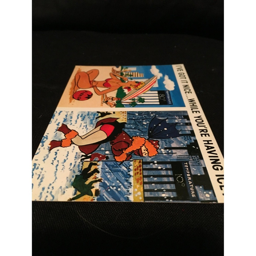 Vintage Florida pin up postcard, Humorous vintage postcard - Picture 2 of 5